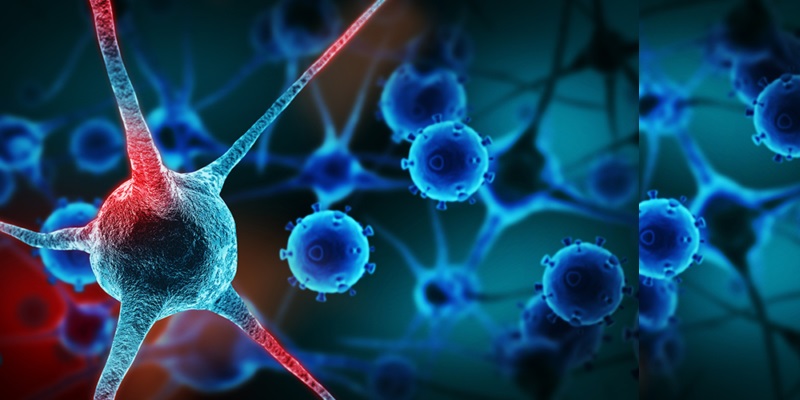 Image of Inhibiting Cancer Cells Using NMR Spectroscopy.