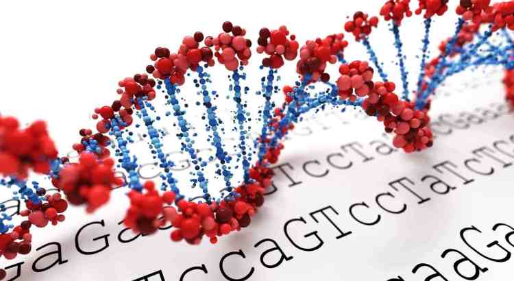 Image showing various stages of treatment in cancer using gene therapy