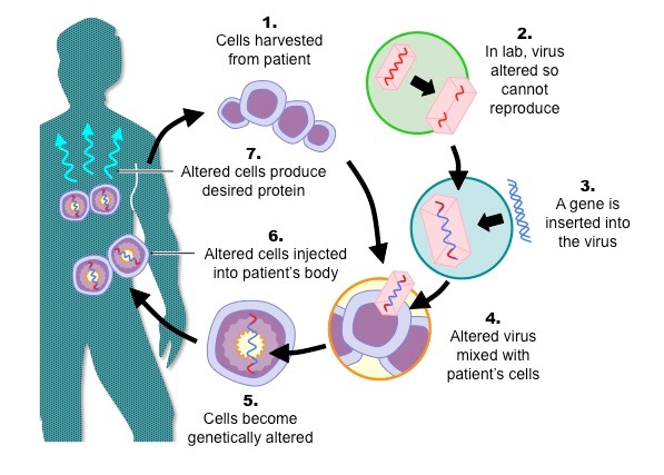 A graphical image of gene mutation used for cancer treatment with gene therapy.