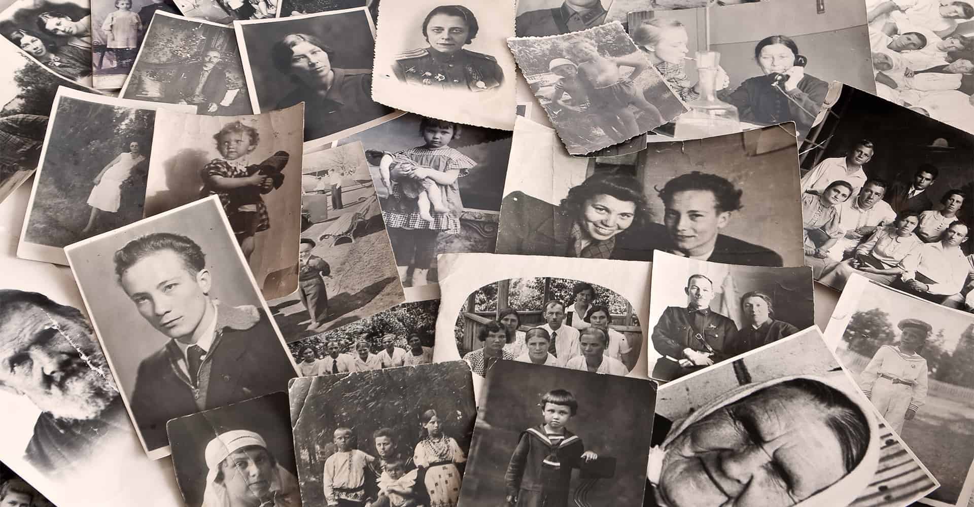 A group of family photographs piled up to build a family tree using genealogy.