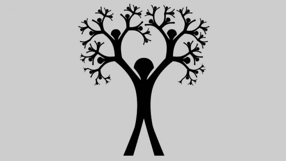 Image showing vintage geneology tree.