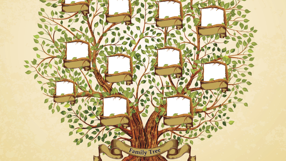 Family Tree template vintage vector illustration