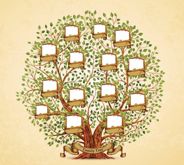 Family Tree template vintage vector illustration